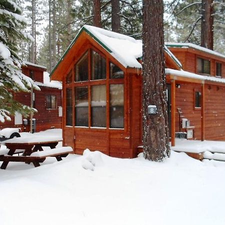 Cedar Pines Resort South Lake Tahoe Exterior foto