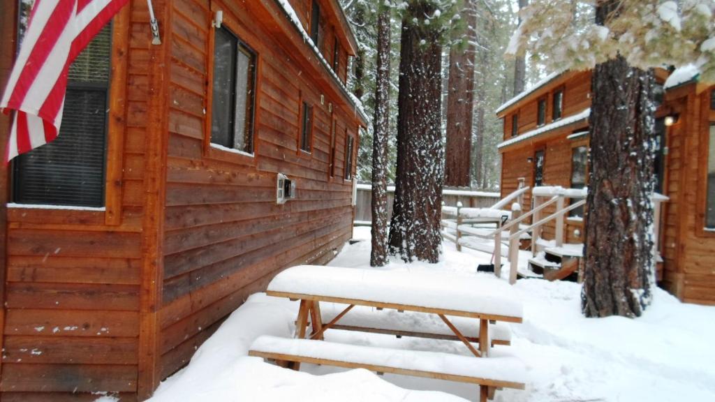 Cedar Pines Resort South Lake Tahoe Exterior foto